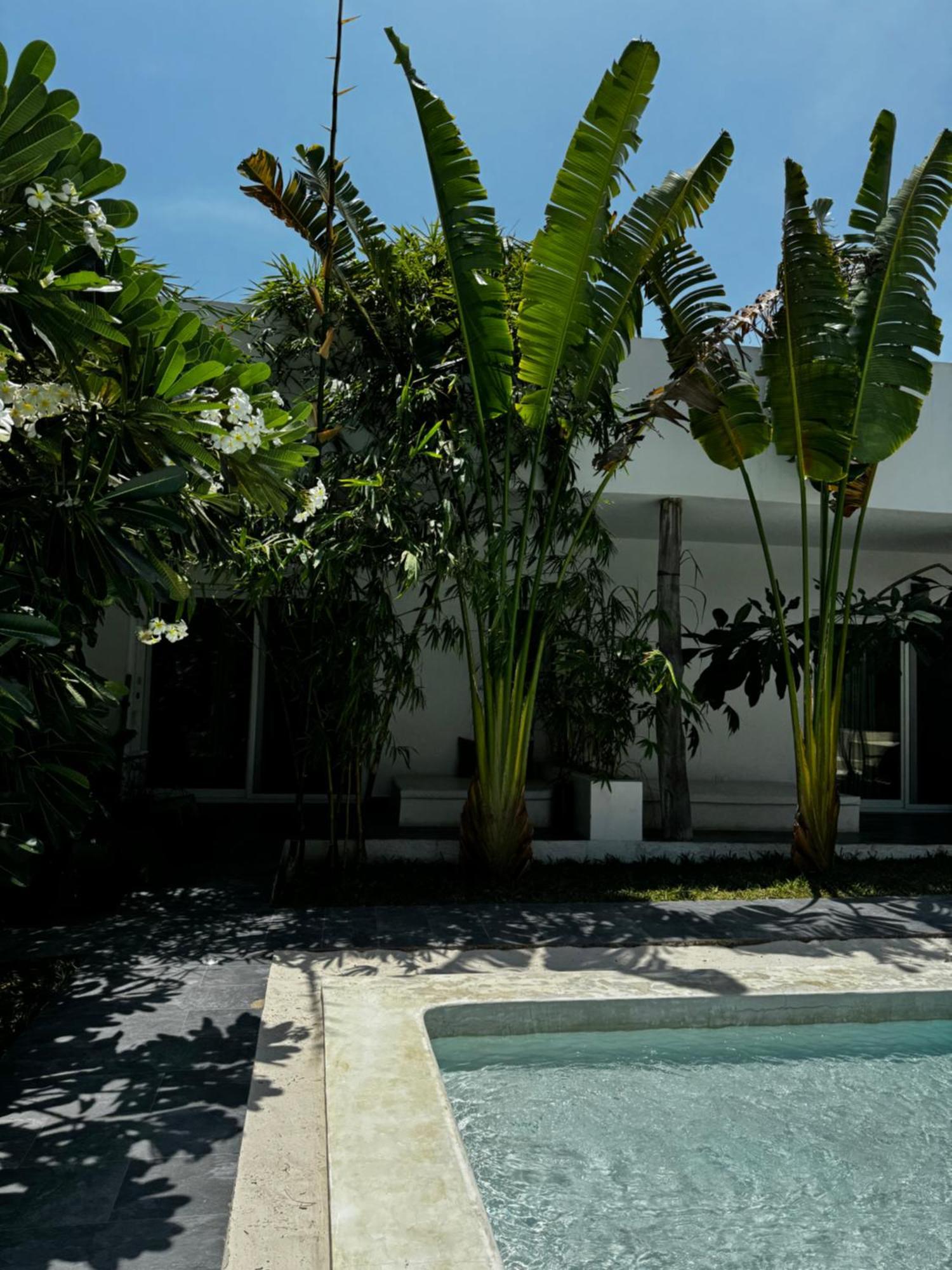 La Base Hotel Kiwengwa (Zanzibar) Bagian luar foto
